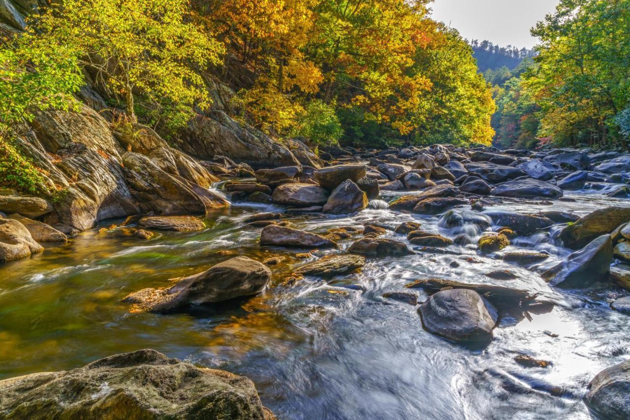 Mountain Flower Pigeon Forge Luaran gambar